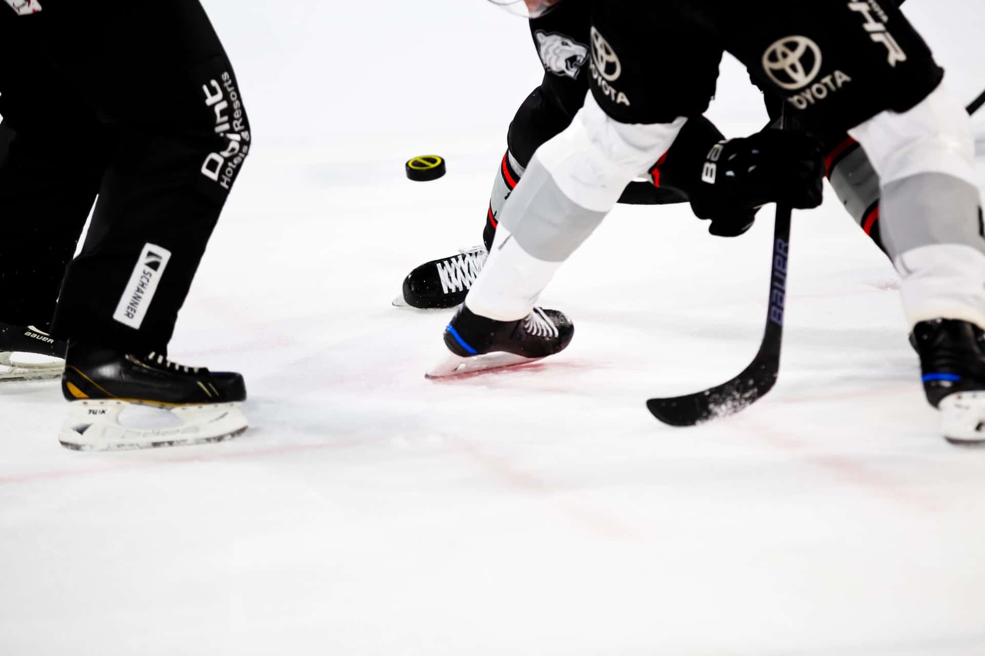 Hokejowy elementarz: zasady gry w hokeja na lodzie