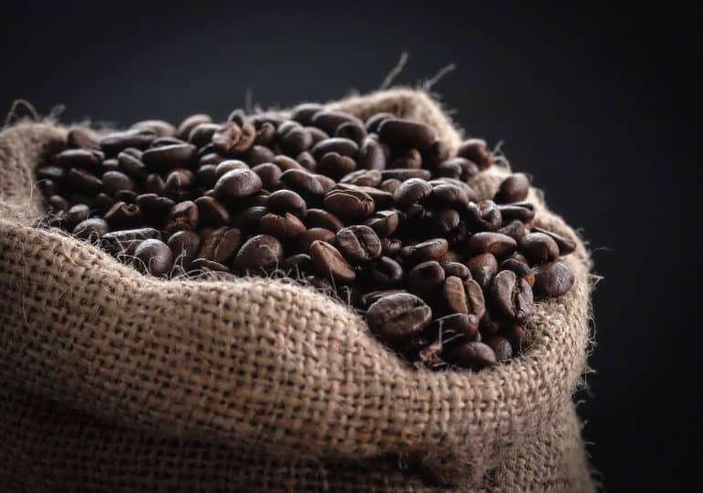 Poradnik dla miłośników kawy: Jak wybrać najlepszą palarnię kawy?